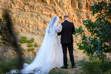 Image showing Newlyweds stand on the edge of a hill and look down, rear view