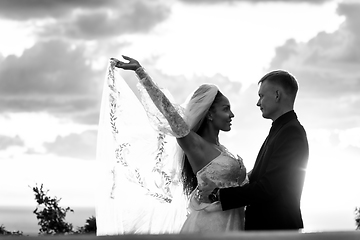Image showing Portrait of newlyweds in the rays of the setting sun, black and white version