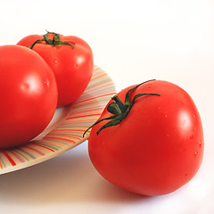 Image showing Isolated tomatoes