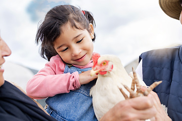 Image showing Farm, agriculture and girl and chicken in countryside for farming, livestock and agro. Sustainability, family and child with grandparents and bird for protein, animal produce and eco friendly ranch