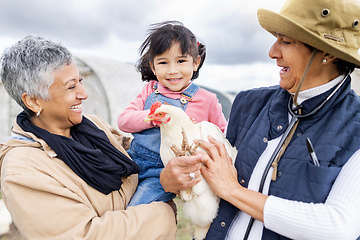 Image showing Agriculture, farm and grandparents with girl and chicken for farming, veterinary and agro industry. Sustainability, countryside and happy child with family for protein, animal produce and livestock