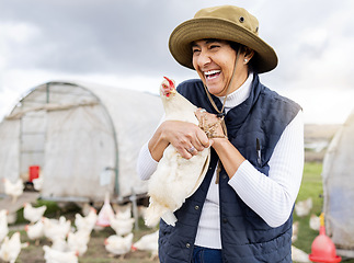 Image showing Happy farmer, woman and chicken for agriculture in field, environment and countryside. Poultry farming, female worker and feather birds for sustainability, eggs production and sustainable food trade