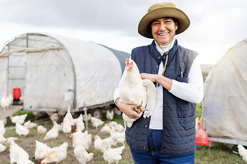 Image showing Happy chicken farmer, woman and portrait for agriculture in field, environment and countryside. Poultry farming, worker and animal birds for sustainability, eggs production and food trade industry