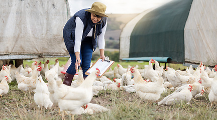 Image showing Agriculture, chicken farming and woman with clipboard on free range farm, environment and field. Sustainability, animal care and farmer check poultry birds in countryside, nature or sustainable trade