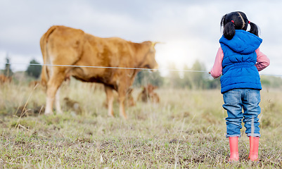 Image showing Agriculture, cow and a girl from the back looking at cattle on an agricultural field for sustainability or dairy farming. Children, farm and livestock with a little kid outdoor alone on a beef ranch