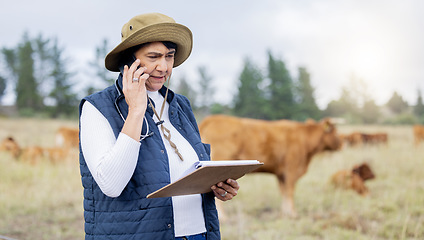 Image showing Farm, veterinary and woman on a phone call with clipboard for inspection, healthcare and cow wellness. Agriculture, communication and senior vet working in countryside, cattle farming and livestock