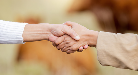 Image showing Farmer, handshake or b2b partnership deal for sustainability, agriculture or meat production on grass field. Success, shaking hands or people meeting in collaboration on cattle farming small business