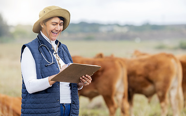 Image showing Cow veterinary, agriculture and woman with clipboard for growth inspection, checklist and animal wellness. Farm, healthcare and happy senior vet working in countryside, cattle farming and livestock