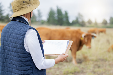 Image showing Farmer, cow or woman with checklist for animals healthcare, wellness or agriculture on grass field. Cattle or senior person working in countryside farming steak meat livestock in beef production