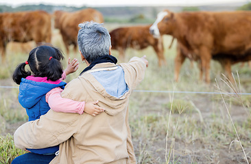 Image showing Grandmother, girl back and cows on a walk with kid and senior woman in the countryside. Outdoor field, grass and elderly female with child on a family farm on vacation with happiness and fun