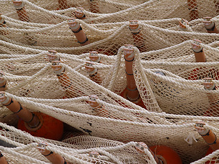 Image showing net and buoys