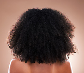 Image showing Natural hair, black woman with afro and beauty, haircare and cosmetics with back on studio background. Female, cosmetic treatment with curly hairstyle, rear view and texture with hygiene and grooming