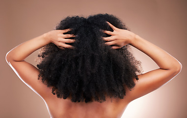 Image showing Hands in hair, black woman with afro and beauty, haircare and cosmetics with back on studio background. Female, natural cosmetic treatment with curly hairstyle, rear view and texture with grooming