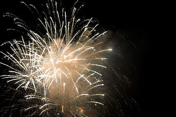 Image showing Golden Fireworks
