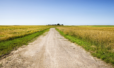 Image showing road along the field