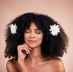 Image showing Eyes closed, face and black woman with flowers for hair care in studio isolated on brown background. Floral cosmetics, hairstyle makeup and beauty of happy female model with plant for salon treatment