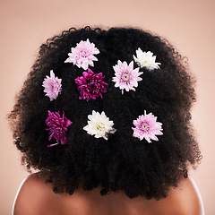 Image showing Back, hair care and beauty of black woman with flowers in studio isolated on a brown background. Curly hairstyle, floral cosmetics and female model with salon treatment for organic growth and texture