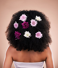 Image showing Hair care, back and beauty of black woman with flowers in studio isolated on a brown background. Sustainability, floral cosmetics and female model with salon treatment for natural growth or hairstyle