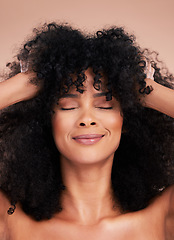 Image showing Black woman, hair care and beauty of face in studio for shampoo growth and shine. Happy aesthetic model with natural curly afro for cosmetics, facial skincare and makeup glow on a studio background