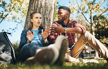 Image showing Interracial couple, fight and outdoor with upset young people angry on summer holiday. Conversation, conflict and break up discussion of a woman and man sitting by tree together talking about problem