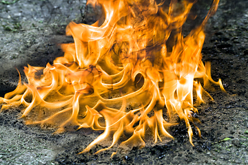Image showing orange hot flames
