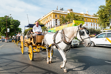 Image showing Typical Andalusian horses with carriages