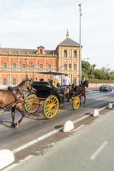 Image showing Typical Andalusian horses with carriages