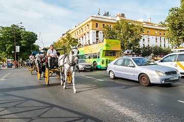 Image showing Typical Andalusian horses with carriages