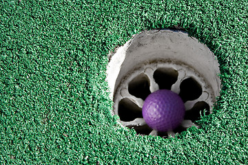 Image showing Purple Golf Ball