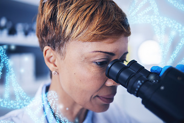 Image showing Science, dna research and black woman with microscope and double helix overlay in laboratory. Medical innovation, senior scientist or researcher for healthcare, medicine and vaccine testing in lab.