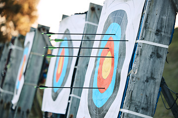 Image showing Arrows in archery circle or target for competition, game or learning in field outdoor for sports background. Sport event, icon or eye goal with arrow on board for gaming, adventure and shooting