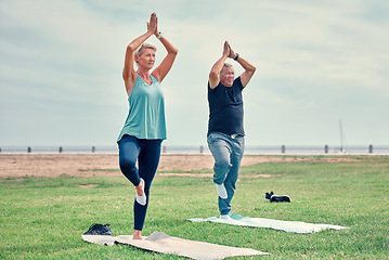 Image showing Yoga, fitness and senior couple wellness in park zen, holistic meditation or retirement health for calm mind. Mountain pose, Tadasana or prayer of elderly people training, learning pilates or workout