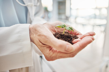 Image showing Science, hands and scientist with plant in the lab for research, experiment or agro test. Sustainable, agriculture and professional female agronomist with soil and green leaf in scientific laboratory