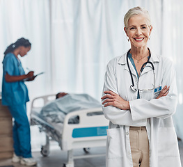 Image showing Healthcare, leadership and portrait of senior woman doctor in hospital with confidence and success in medical work. Health, pride and medicine, confident mature professional with stethoscope in room.