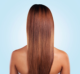 Image showing Back, hair care and beauty of black woman in studio isolated on a blue background. Hairstyle, keratin cosmetics and aesthetics of female model with salon treatment for growth, texture and balayage.