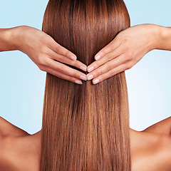 Image showing Hair care, back and beauty of woman in studio isolated on a blue background. Hairstyle, keratin cosmetics and aesthetics of young female model with salon treatment for growth, texture and balayage.