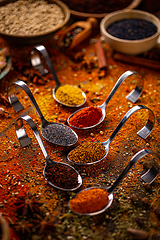 Image showing Colorful dry herbs and spices