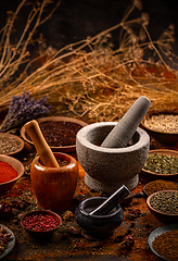 Image showing Set of various spices