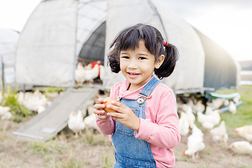 Image showing Girl child portrait, chicken farm and egg with smile, learning or organic agriculture startup in spring. Kid, poultry bird farming and sustainability in countryside, summer or morning for animal care