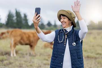 Image showing Cow selfie, video call and vet in countryside with cows on a field for animal healthcare. Happiness, mobile and social media streaming of a mature farmer on the grass with cattle for milk production