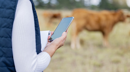 Image showing Hands, phone or veterinarian on farm to check cattle livestock wellness or animals natural environment. Website, internet data or person reading news or networking online to protect cows healthcare