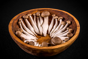 Image showing Shimeji mushroom