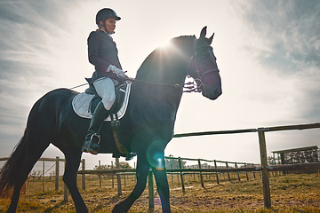 Image showing Woman, equestrian, pet horse ride and mockup in nature on countryside grass field. Animal training, young jockey and farm of a rider and athlete with mock up outdoor doing saddle sports with horses