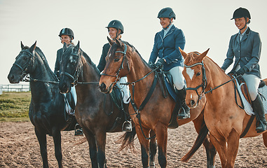 Image showing Equestrian, horse riding group and sport, women outdoor in countryside with rider or jockey, recreation and lifestyle. Animal, sports and fitness with athlete, competition with healthy hobby