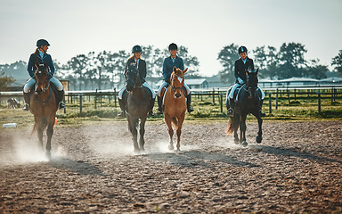 Image showing Equestrian, group and women on a horse for sports, training and show on farm in Switzerland. Learning, lessons and girls horseback riding for a race, competition or professional event in countryside