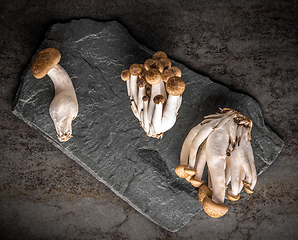 Image showing Shimeji mushrooms