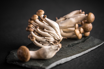 Image showing Brown shimeji mushrooms