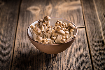 Image showing Brown shimeji mushrooms