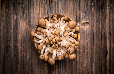 Image showing Shimeji mushrooms