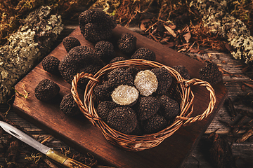 Image showing Black truffle mushrooms